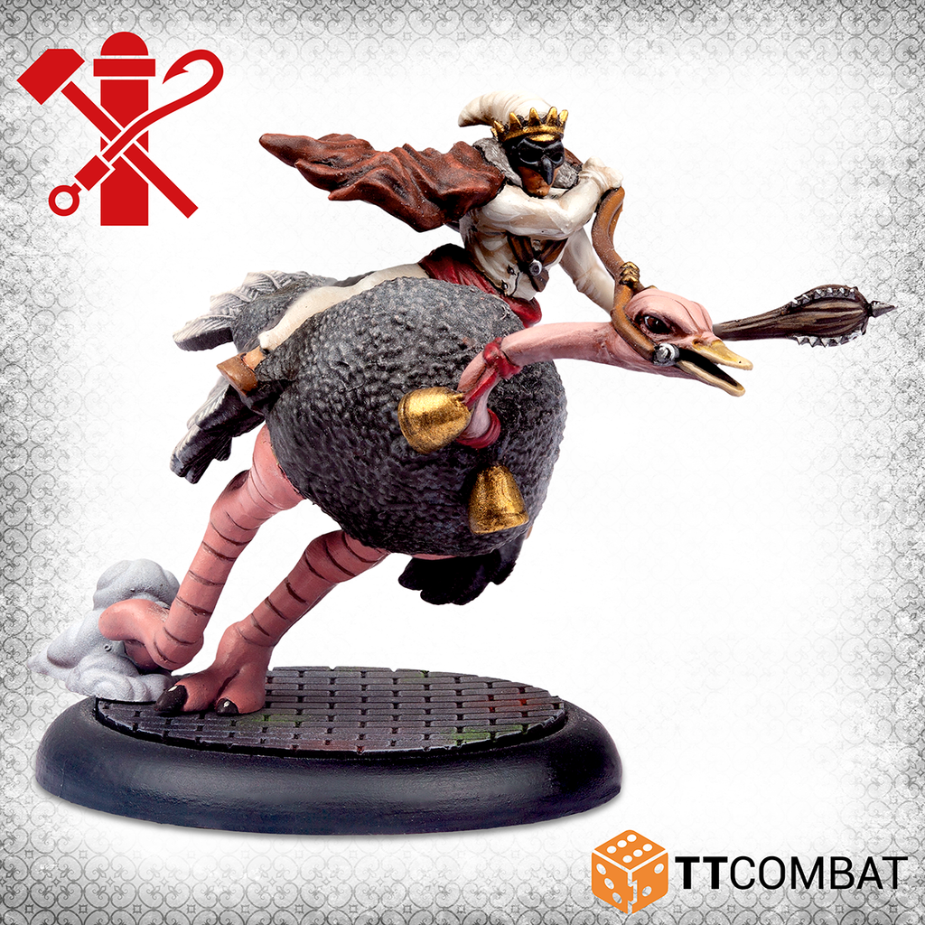 Ostrich Racing?!