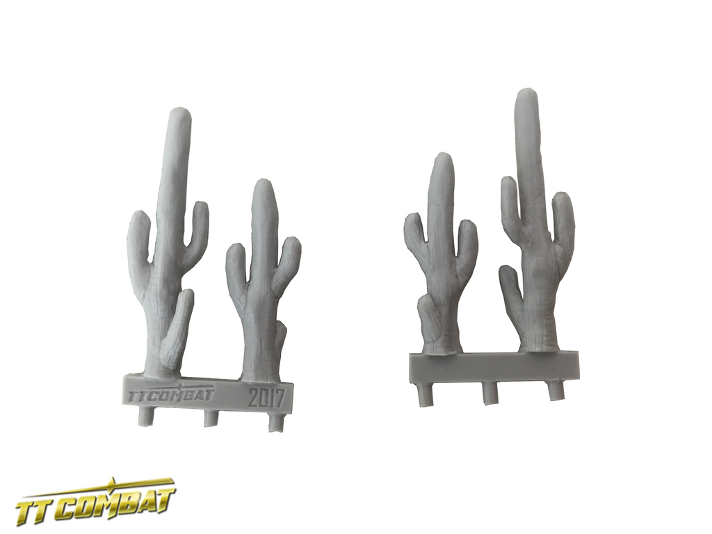 Western Accessories